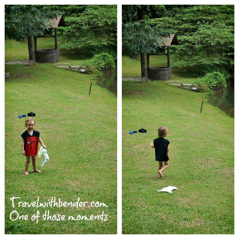 PicMonkey_Collage.jpg
