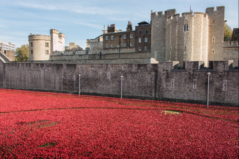 The Tower Of London Poppies: History In The Making