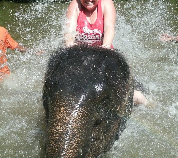 What Is It About Elephants? Kuala Ghanda Elephant Sanctuary