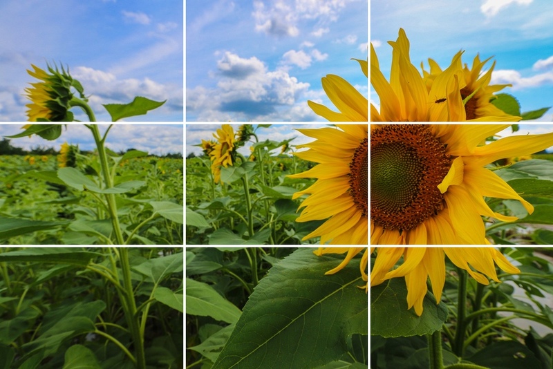 How To Make Your Nasty Holiday Photos A Million Times Better (Without Spending A Cent)
