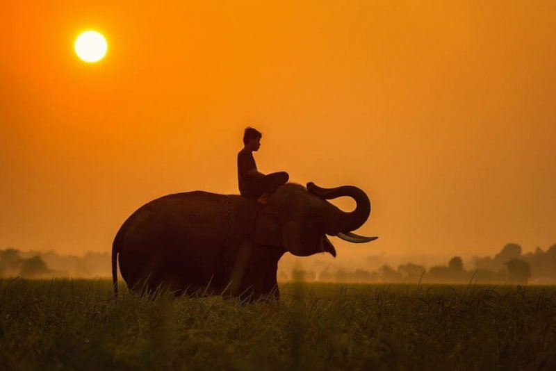 8 Countries To Visit In Southeast Asia