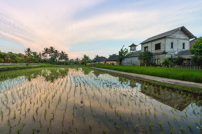 The Ultimate Guide To Ubud, Bali: Villas, Scooters, Monkeys + 19 Places To Eat