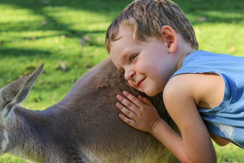 9 Cutest Australian Animals: Can You Eat Them?