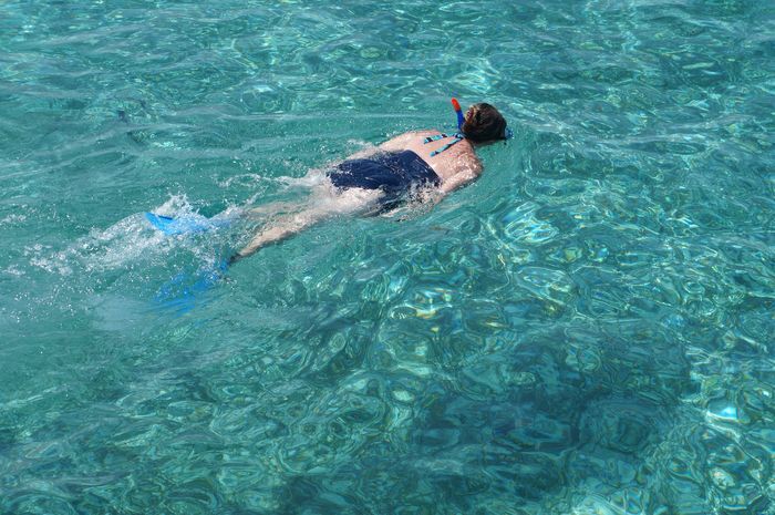 The Tours - Lamanai & Snorkling